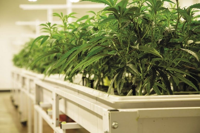 201607_NEWS01_160709977_AR_-1_0