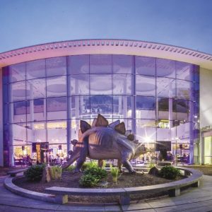 Best of Business: Best Events & Venues for 2018