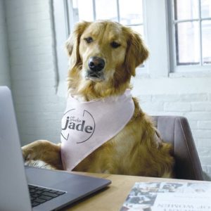 Best of Business 2022: Best Pandemic Coworkers