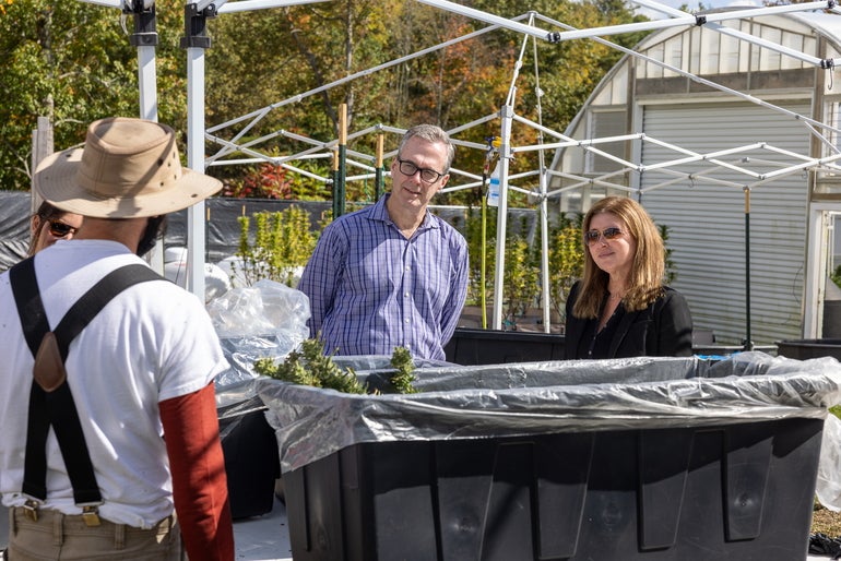 Two people look at a table with bins full of marijuana while outside