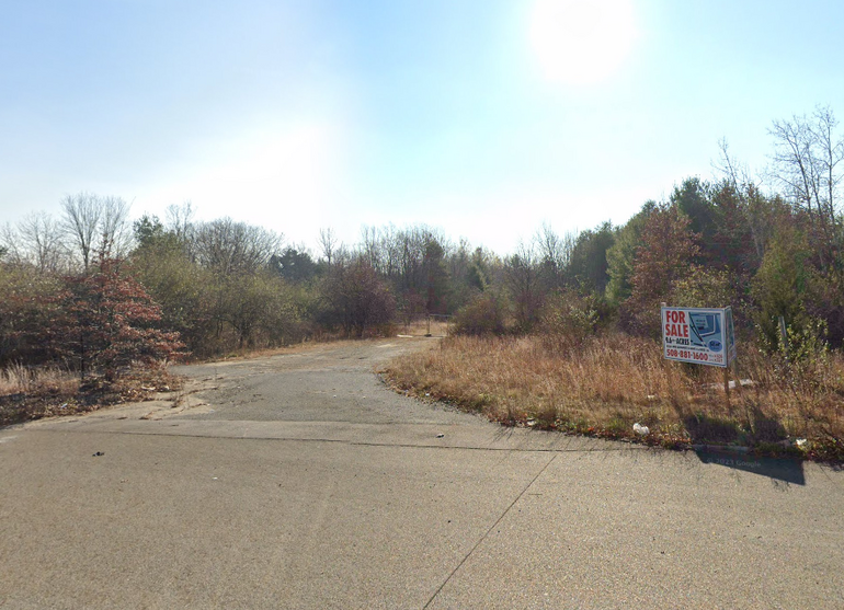 An overgrown lot with a for sale sign on it