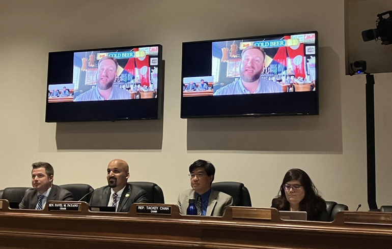Four lawmakers in suits sit during a hearing with a person on a screen behind them