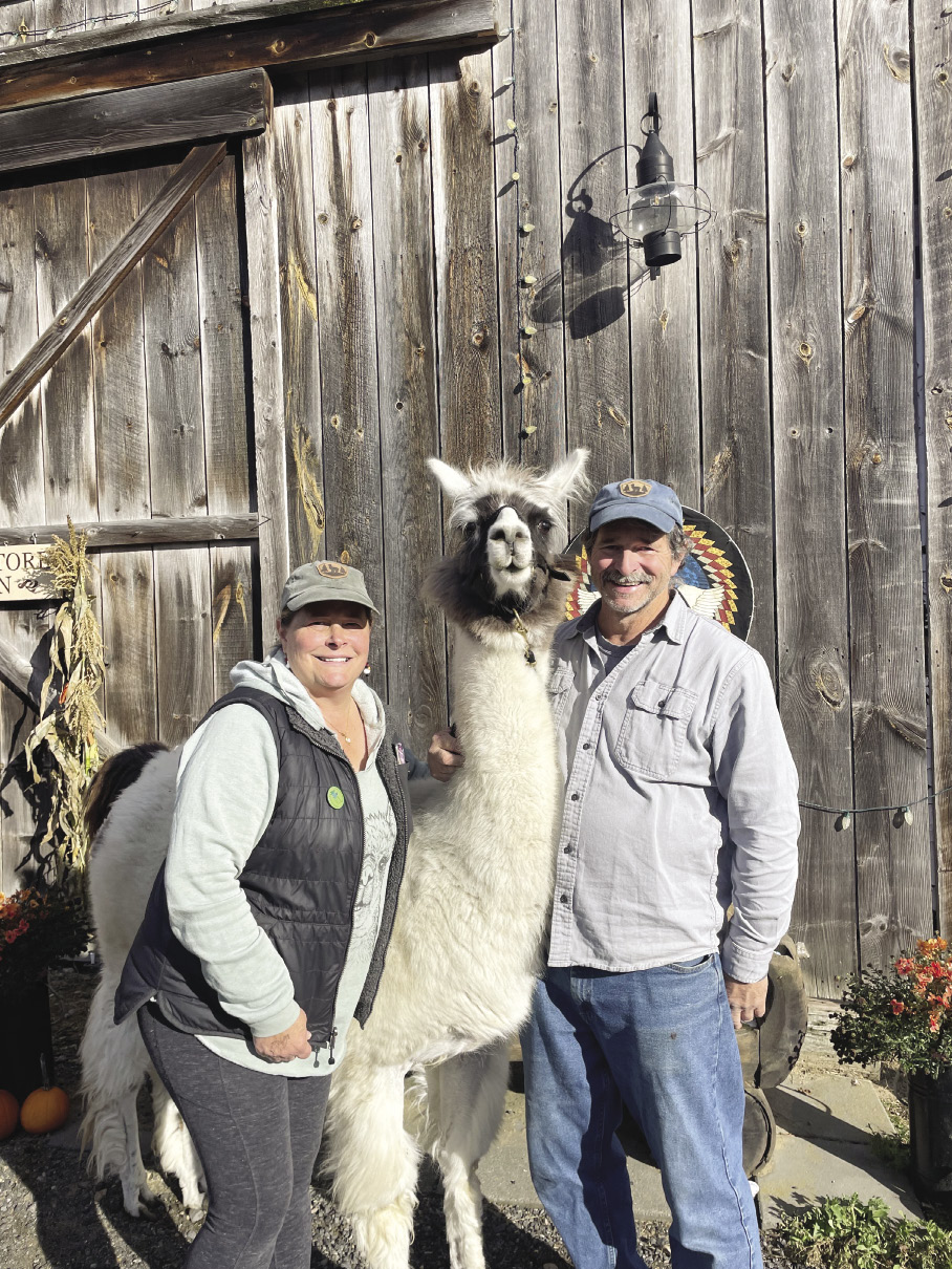 Two people stand on either side of a llama