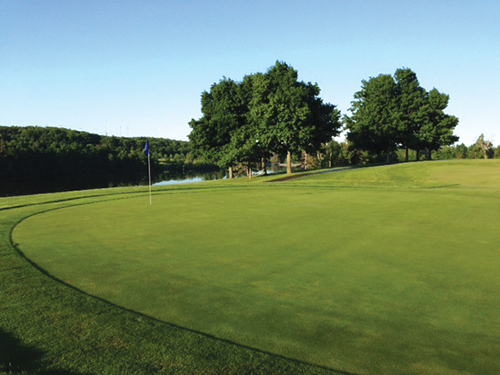 A green golf course surrounded by large trees, sitting along a lake